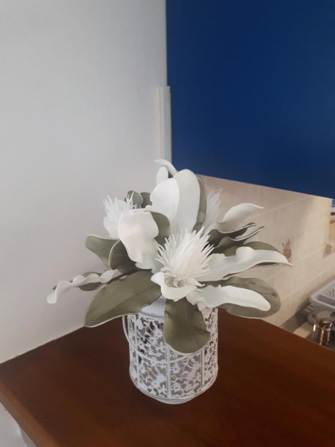 Apartment Terra Rossa Kaštelir Екстериор снимка