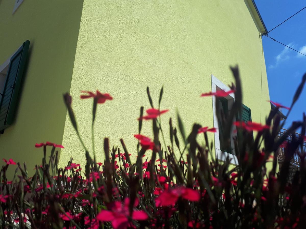 Apartment Terra Rossa Kaštelir Екстериор снимка